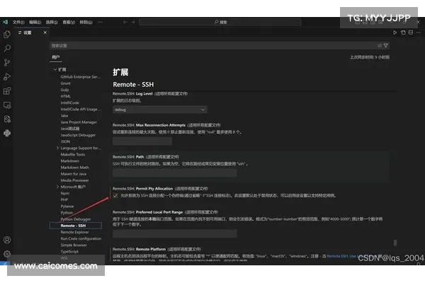 VSCode被利用进行未经授权的系统访问 媒体 VSCode被利用进行未经授权的系统访问 媒体